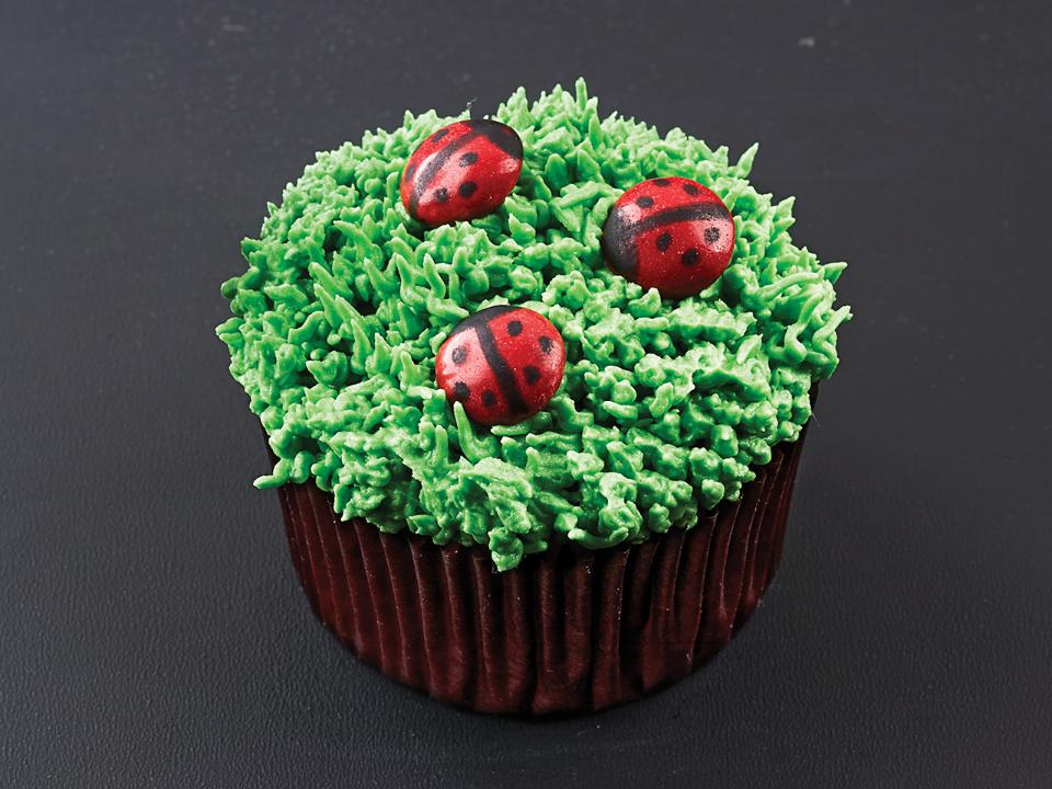 Cupcake Decorating Ideas Ladybug